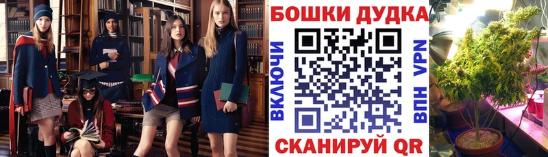 Бошки Шишки марихуана  нарко площадка как зайти  Череповец  купить закладку 